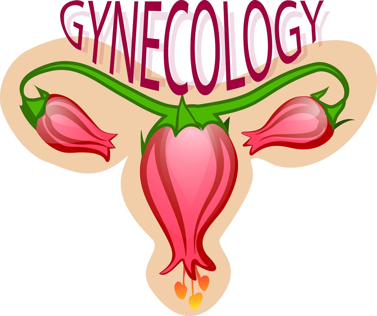 gynecology-2533145_1280.jpg