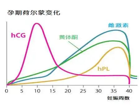 微信图片_20200918213034.jpg